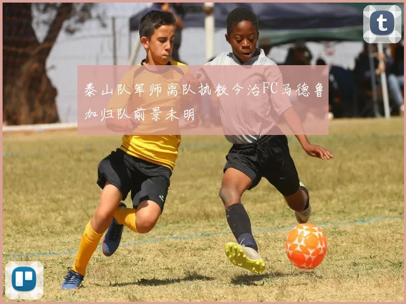 泰山队军师离队执教今治FC马德鲁加归队前景未明