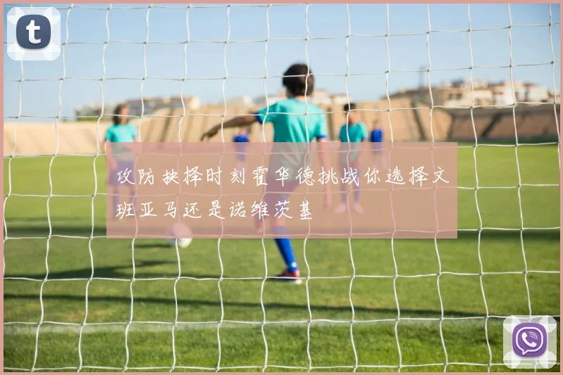 攻防抉择时刻霍华德挑战你选择文班亚马还是诺维茨基