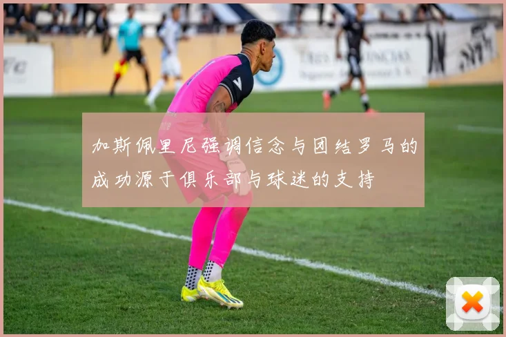 加斯佩里尼强调信念与团结罗马的成功源于俱乐部与球迷的支持